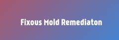 Fixous Mold Remediaton